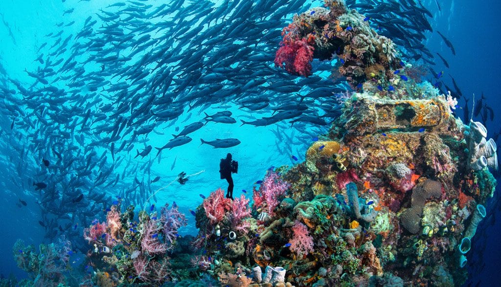 Pacific Master Liveaboard, Truk Lagoon and Bikini Atoll, Pacific Ocean