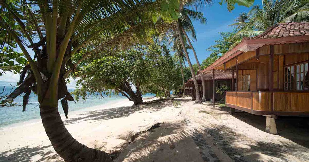 Diving north sulawesi murex divers murex bangka beach front cottages
