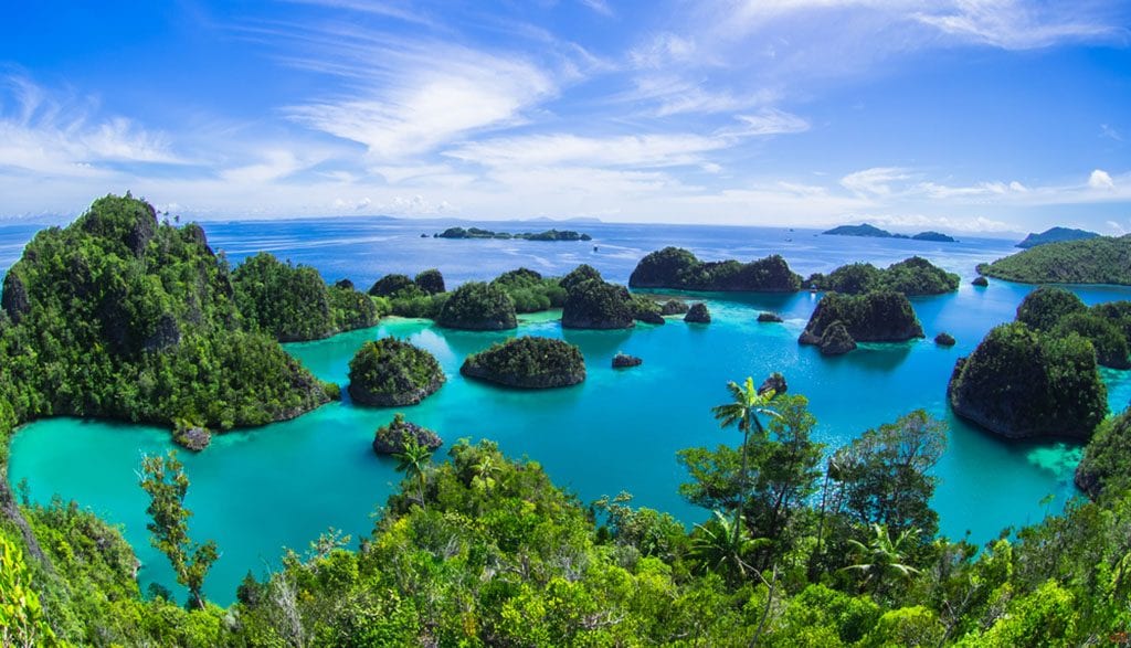 Raja Ampat Specials