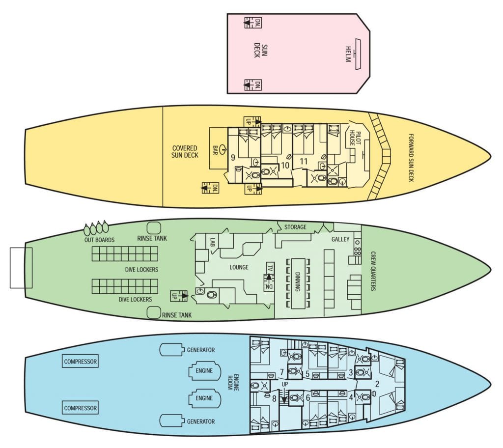 12 Okeanos Aggressor 1 Liveaboard Cocos Island, Costa Rica cabin layout