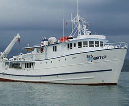 Sea Hunter liveaboard takes divers to Cocos Island in Costa Rica, one of the best places in the world for diving with hammerhead sharks and other pelagic marine life. Part of the Undersea Hunter Group, the boat is both functional and luxurious.