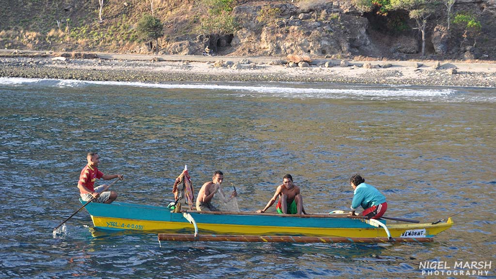 Washed by the nutrient-rich waters of the Banda Sea diving Timor Leste offers a diversity of dive sites, experiences and marine life from macro to big stuff