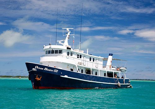 9 Ocean Hunter Liveaboard Palau Micronesia special