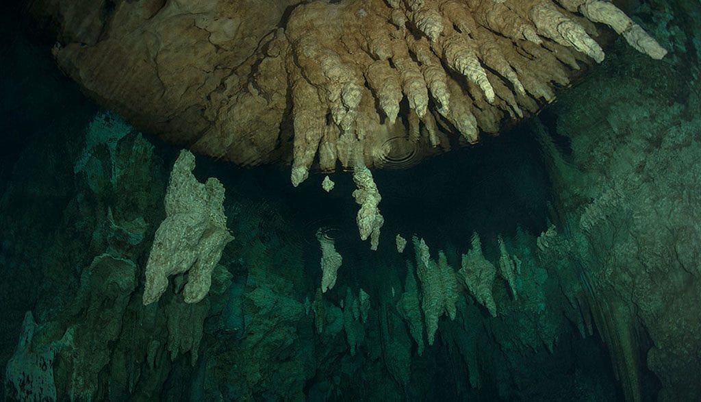 Diving palau ocean hunter chandelier cave jj32758dd