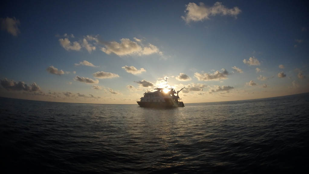 Infiniti liveaboard Philippines | Diving Malapascua, Visayas, Tubbataha sunset