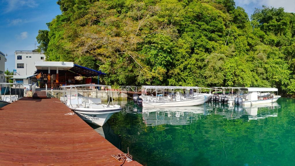 Fish n Fins Palau | Fish and Fins Dive Center Palau dive boat