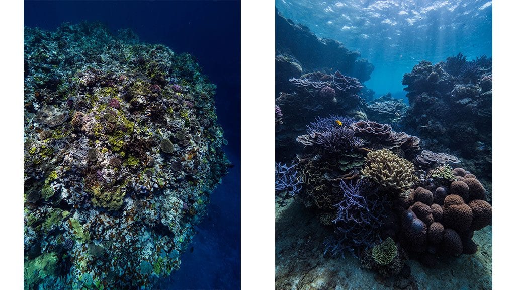 Three reasons to Dive Tanna, Vanuatu's undiscovered underwater Eden