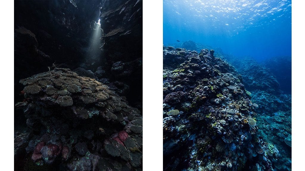 Diving tanna blue hole 2 coral gardens 5
