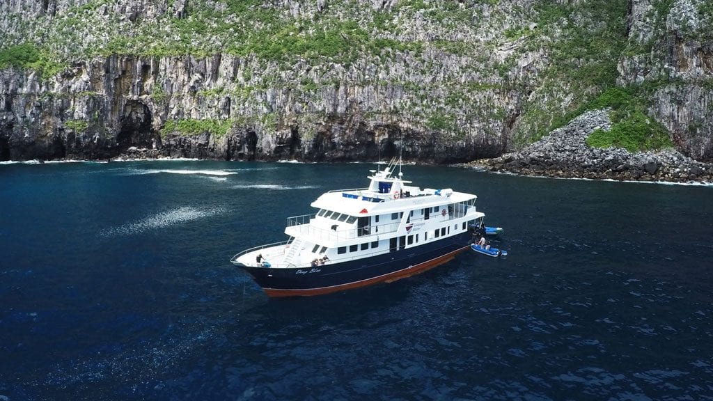 Galapagos Master liveaboard diving Galapagos Wolf & Darwin 02 hr