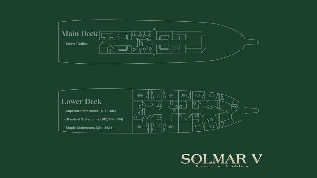 Solmar V classic liveaboard Socorro & Guadalupe Islands deckplan