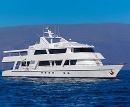 M/Y Blue Spirit Galapagos liveaboard is a cosy liveaboard offering 7 night trips diving Galapagos Islands: Darwin Island, Wolf Island to see hammerhead sharks & whale sharks, manta rays & eagle rays, green turtles & hawksbill turtles, seals & dolphins