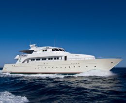 M/Y Excellence liveaboard is part of the Sea Serpent Liveaboard Fleet diving all the best dive sites in the Red Sea
