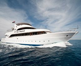 M/Y Sea Serpent liveaboard is part of the Sea Serpent Liveaboard Fleet diving all the best dive sites in the Red Sea