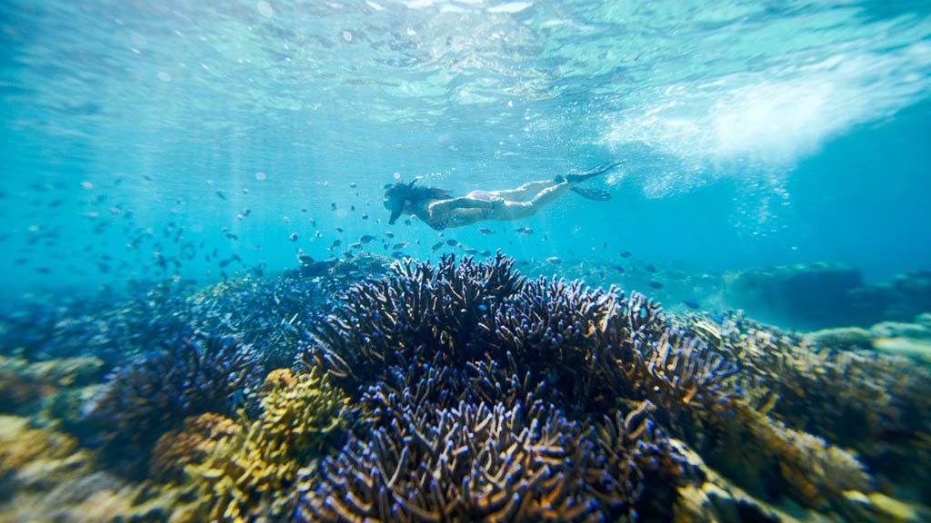 Mantaray Island Resort, Yasawa Islands, Fiji Islands house reef snorkel
