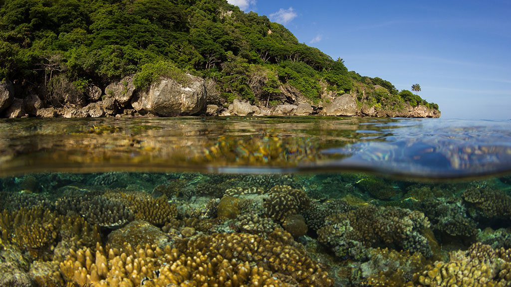 Extra Divers Australia Christmas Island Australia WA