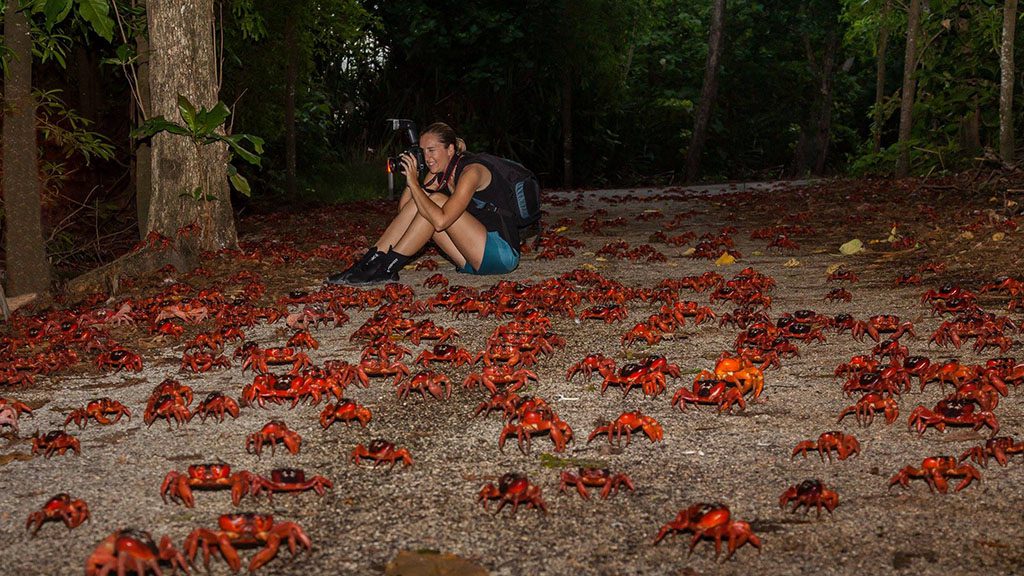 Extra Divers Australia Christmas Island Australia WA