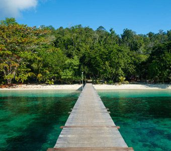 Raja Ampat Biodiversity Resort, with clean, spacious rooms, on Gam Island in the heart of Raja Ampat has easy access to the best dive sites in Raja Ampat