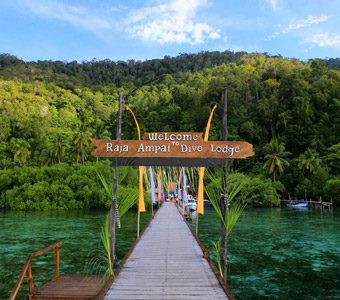 Raja Ampat Dive Lodge provides an affordable authentic Indonesian resort experience & access to its house reef & all the central Raja Ampat signature dives