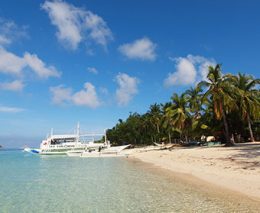 Sea Explorers Malapascua at Ocean Vida Beach Resort can take you to see thresher sharks and more including local wrecks and Calangaman & Gato Islands MPA