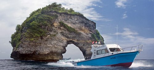 Aotearoa Dive Bali Trip, Sep 2025