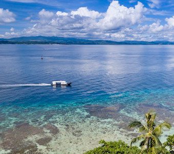 Murex Bangka Dive Resort is ideal for single travelers, couples, families and everyone who enjoys diving from a secluded and friendly island resort.