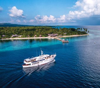 Wakatobi Dive Resort is often perceived as the very pinnacle of colourful reef diving in Indonesia. Commensurately expensive, but never failing to impress