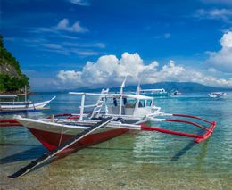 Atlantis Puerto Galera Resort & Dive Centre on Mindoro offers local muck dives in Sabang Bay all day long and full day dive trips (3 tanks) to Verde Island