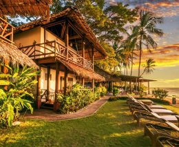 The well-appointed Atlantis Dumaguete Resort & Dive Centre is a short trip to great diving at Apo Island, Siquijor Island & local Dauin Marine Sanctuary