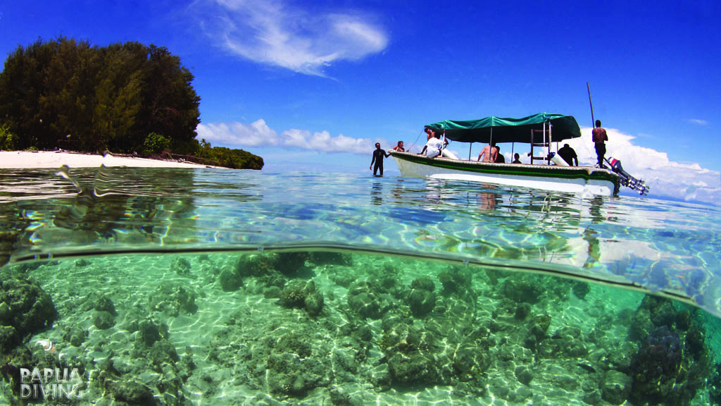 Kri Eco Resort diving with Papua Diving, Kri Island, Raja Ampat, Indonesia - Surface Interval