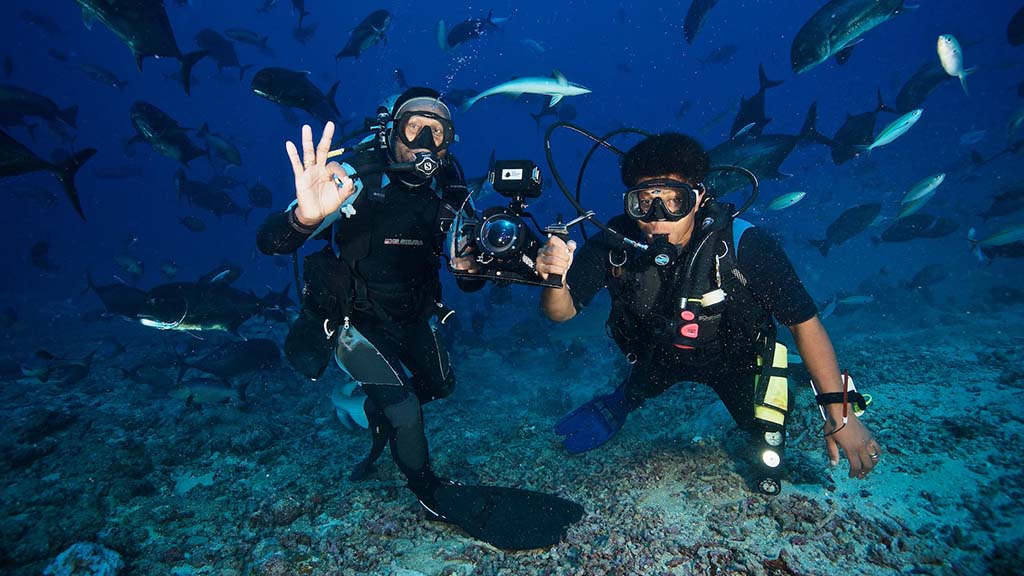Beqa Lagoon Resort, Beqa Island, Fiji Cathedral Shark Dive & Coral Diving - Pacific Harbour Fiji Divers