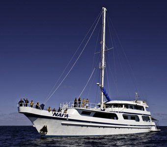 Nai'a is a luxury liveaboard vessel operating first class 7 and 10 day diving adventures throughout Fiji great facilities and excellent cuisine1