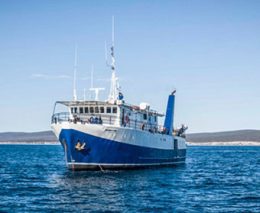 14 rodney fox dive liveaboard south australia australia external feature340