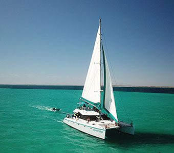 The only Ningaloo Liveaboard is Sail Ningaloo, departing weekly from Coral Bay, and diving remote pristine coral reefs of the Ningaloo Reef and Muiron Islands not visited by day boats.