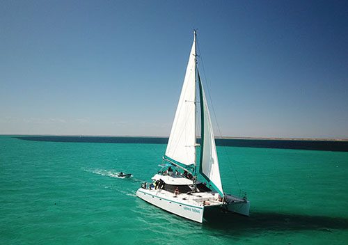 The only Ningaloo Liveaboard is Sail Ningaloo, departing weekly from Coral Bay, and diving remote pristine coral reefs of the Ningaloo Reef and Muiron Islands not visited by day boats.