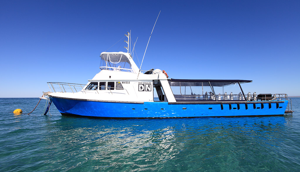 2 Dive Ningaloo Australia Dive Boat External