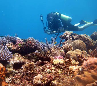 Yasawa Islands diving is suitable for all levels of experience and all budgets: backpacker, eco-lodge and 5 star luxury resorts are dotted along the Yasawas