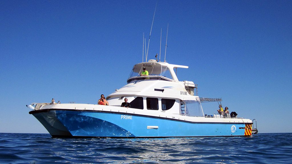 3 Exmouth Dive and Whale Sharks Ningaloo Australia Dive Boat