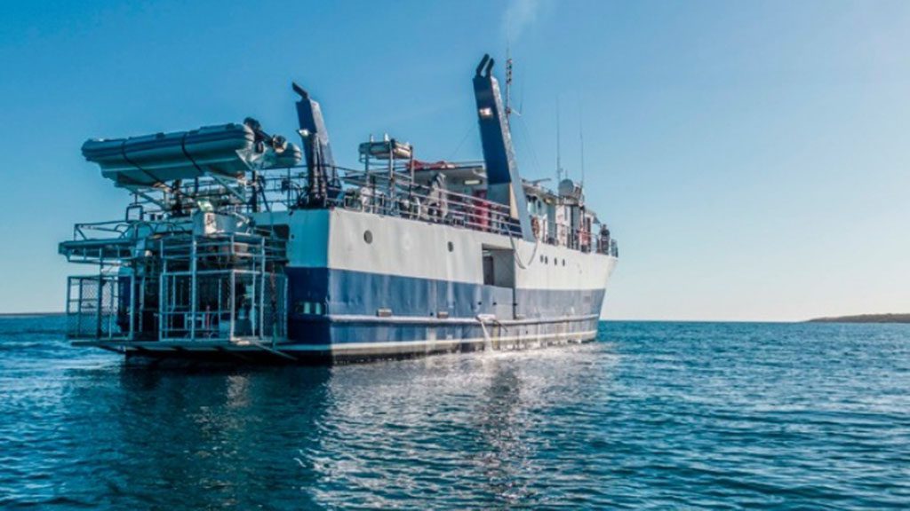 3 rodney fox dive liveaboard south australia australia view of shark cages