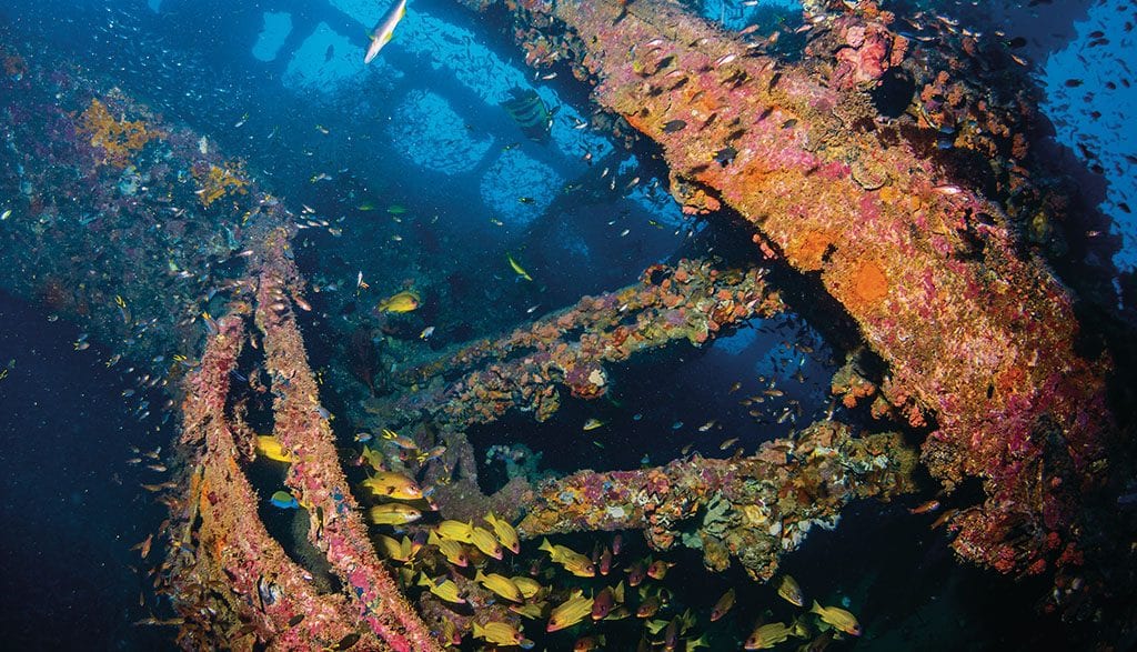 3 yongala dive great barrier reef australia wreck credit teq