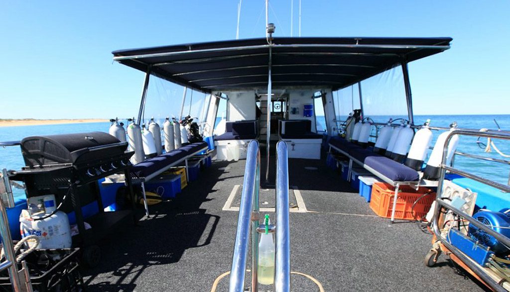 4 Dive Ningaloo Australia Dive Boat Ceto Back