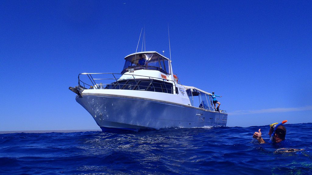 5 Exmouth Dive and Whale Sharks Ningaloo Australia Dive Boat with Snorkeler