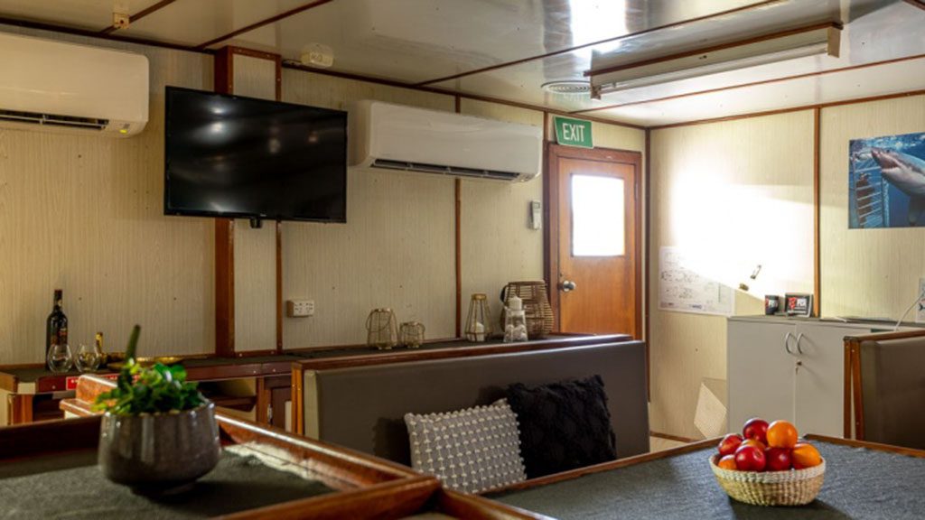 5 rodney fox dive liveaboard south australia australia lounge