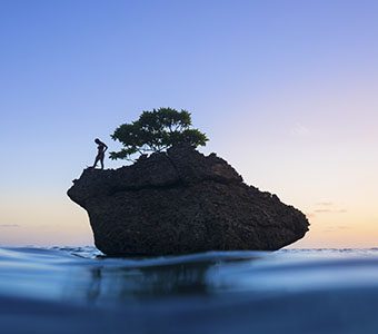 diving tours australia Find Christmas Island Scuba Diving Resorts on Australia’s Indian Ocean Island. Dive Christmas Island's fringing reef, prolific fish life & large pelagics