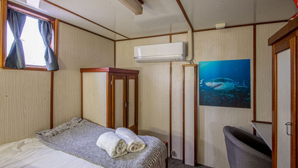 6 rodney fox dive liveaboard south australia australia double cabin