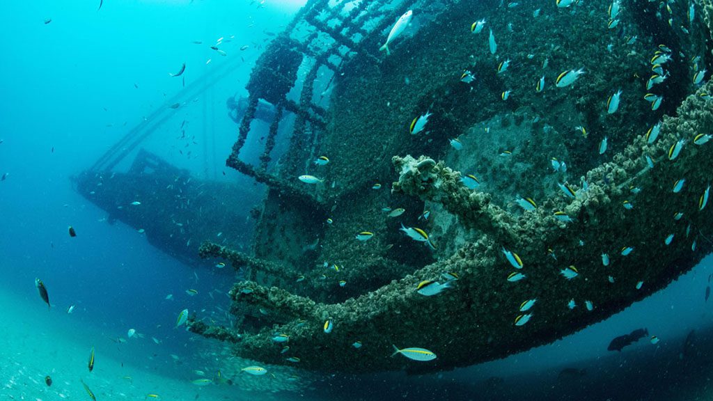 7 Lady Musgrave Island Great Barrier Reef Australia Tobruk Wreck Credit Tracy Olive 5650