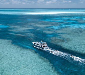 Find Rowley Shoals Liveaboards and dive the Rowley Shoals: 3 atolls, 200 coral species, 700 fish species including humphead parrotfish, Maori wrasse, potato cod