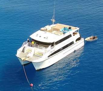 Dive the Rowley Shoals, a chain of three spectacular pristine coral atolls - each rising up from 400m, aboard a luxury liveaboard with Odyssey Expeditions