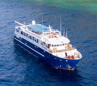 Blue Manta Liveaboard is a large, steel hulled, purpose-built vessel for long haul cruises offers stress-free dive holidays Komodo, Raja Ampat, Banda Sea