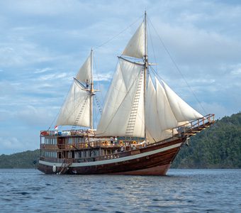 Coralia Liveaboard, sustainable dive cruises in Raja Ampat and Komodo with the comfort of air-con and ensuite cabins, and attention of dedicated local crew.