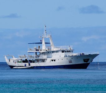 Okeanos Aggressor 1 liveaboard takes divers to Cocos Island in Costa Rica, one of the best places in the world for diving with hammerhead sharks and other pelagic marine life